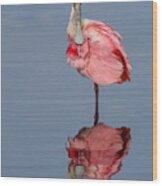 Spoonbill And Reflection Wood Print