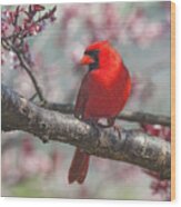 Spring Cardinal 2 Wood Print