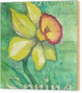 Spring Daffodil Wood Print