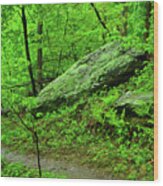 Spring Green In West Virginia Wood Print