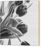 Spring In Black And White Wood Print