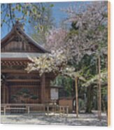 Spring In Edo Wood Print