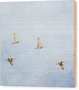 Spring Migration 3 - Textured Wood Print