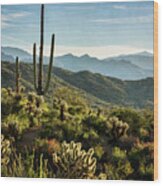 Spring Morning In The Sonoran Wood Print