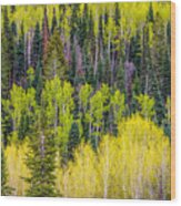 Spring On Grand Mesa Wood Print