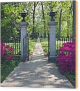 Spring Path To The Mausoleum Wood Print