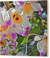 Spring Show 15 Brazilian Orchid Wood Print