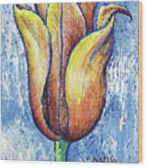 Spring Tulip Wood Print