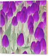 Spring Tulips - Photopower 3008 Wood Print