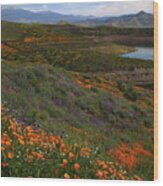 Spring Wildflowers At Diamond Lake In California Wood Print