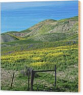 Spring Wildflowers On The Carrizo Plain Superbloom 2017 Wood Print