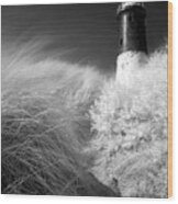 Spurn Lighthouse Wood Print