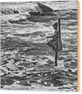 Sri Lanka - Stilt Fisherman 2 Bw Wood Print