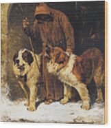 St. Bernards To The Rescue Wood Print