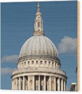 St Pauls Cathedral From The South Wood Print