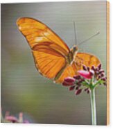 Stained Glass Wings Wood Print