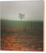 Standing Alone, A Lone Tree In The Fog. Wood Print