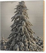 Standing Tall Christmas Card Wood Print