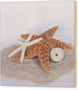 Starfish Still Life Wood Print