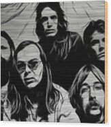 Steely Dan Collection Wood Print
