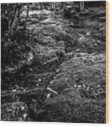 Stevensville Brook In Underhill, Vermont - 2 Bw Wood Print