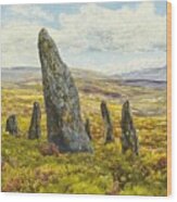 Stone Circle On Dartmoor Wood Print