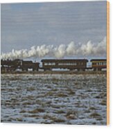 Strausberg Railroad In Pennsylvania Wood Print