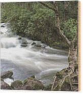 Stream Below Torc Waterfall Killarney National Park Wood Print