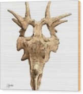 Styracosaur Skull Wood Print