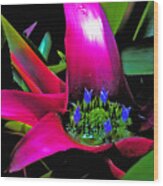 Succulent Leaves And In Bloom Purple And Blue Wood Print