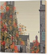 Sulyard Street From Dalton Square Wood Print