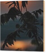 Sumac Sunrise Silhouette Wood Print
