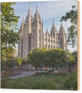 Summer At Temple Square Wood Print