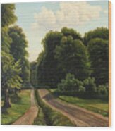 Summer Day At A Forest Road Wood Print