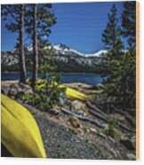 Summer In The Sierra Wood Print