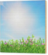 Summer Meadow Flowers In Green Grass, Sunny Blue Sky Wood Print