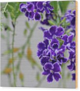Summer Purple Bloom Wood Print