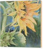 Summer Sunflower Wood Print