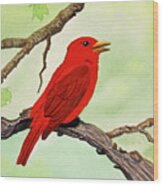 Summer Tanager Wood Print