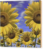 Sun Flowers Wood Print