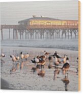 Sun Glow Pier With The Morning Birds Wood Print
