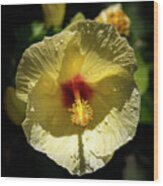 Sun Soaked Yellow Hibiscus Flower Kauai Hawaii Art Wood Print