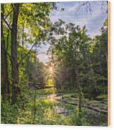 Sundown At Creekside Wood Print