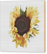 Sunflower #1 Wood Print