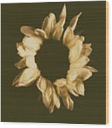 Sunflower #3 Wood Print