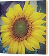 Sunflower Explosion Wood Print