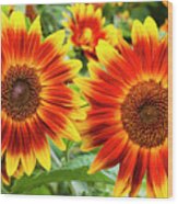 Sunflower Garden Wood Print