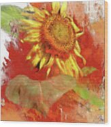 Sunflower In Red Wood Print