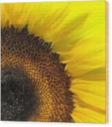 Sunflower #juansilvaphotos #photography Wood Print