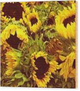 Sunflower Party Wood Print